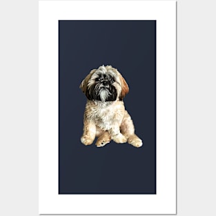 Shih Tzu Adorable Puppy Dog Posters and Art